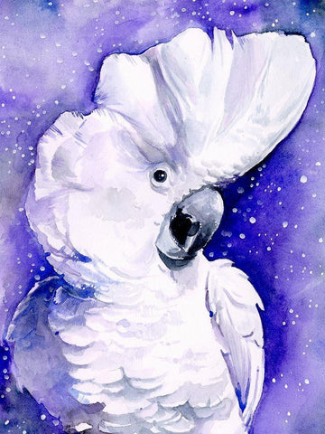 Celestial Cockatoos I White Modern Wood Framed Art Print with Double Matting by Parker, Jennifer Paxton