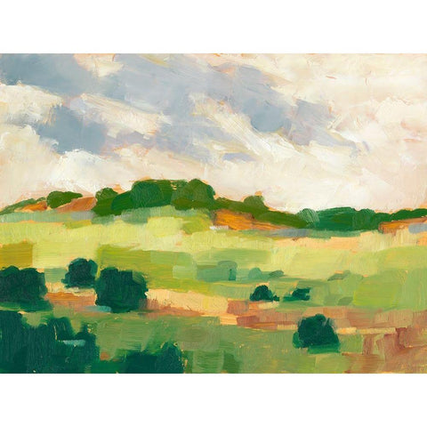 Scattered Trees II Black Modern Wood Framed Art Print with Double Matting by Harper, Ethan