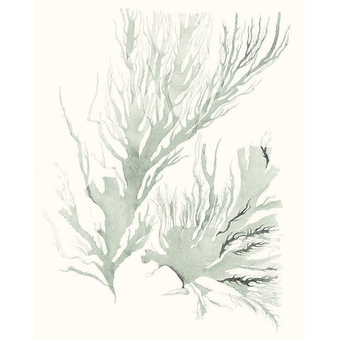 Sage Green Seaweed IV White Modern Wood Framed Art Print by Vision Studio