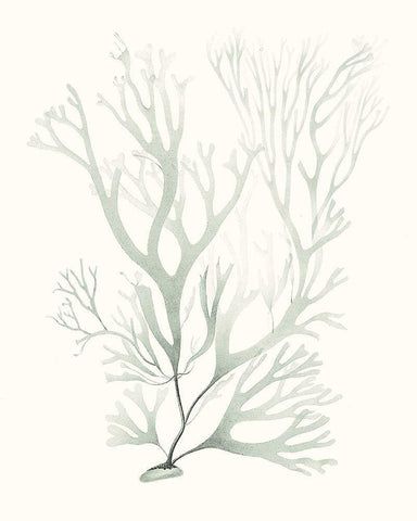 Sage Green Seaweed V Black Ornate Wood Framed Art Print with Double Matting by Vision Studio