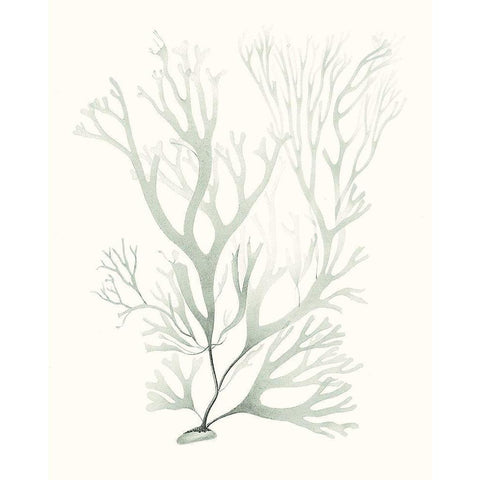Sage Green Seaweed V White Modern Wood Framed Art Print by Vision Studio