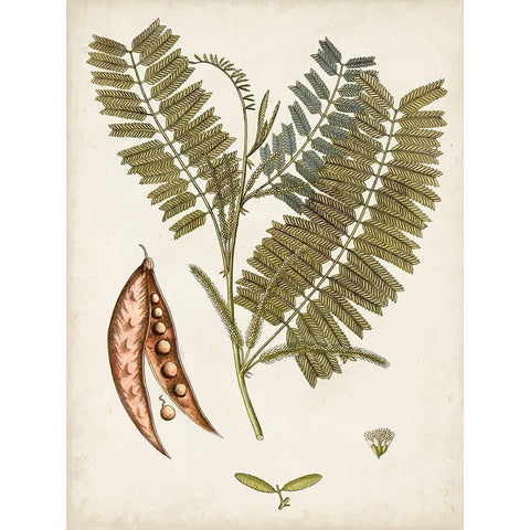 Vintage Charm VII Gold Ornate Wood Framed Art Print with Double Matting by Vision Studio