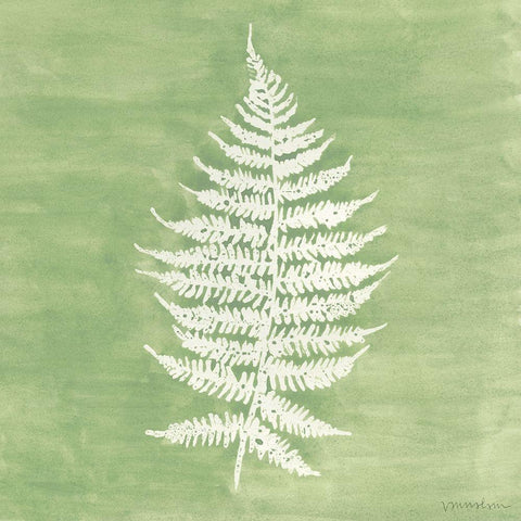 Forest Ferns I Black Modern Wood Framed Art Print with Double Matting by Lam, Vanna