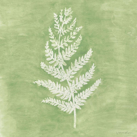 Forest Ferns II White Modern Wood Framed Art Print by Lam, Vanna