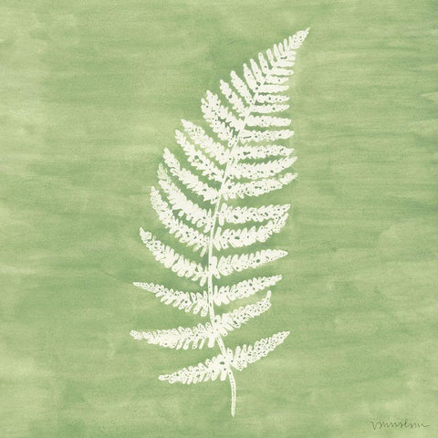 Forest Ferns III Black Ornate Wood Framed Art Print with Double Matting by Lam, Vanna