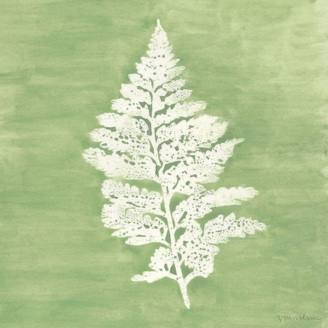 Forest Ferns IV White Modern Wood Framed Art Print by Lam, Vanna