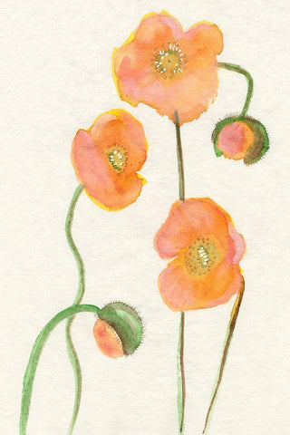 Petite Fleur III White Modern Wood Framed Art Print with Double Matting by Ludwig, Alicia