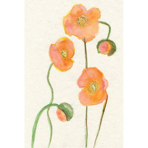 Petite Fleur III Black Modern Wood Framed Art Print with Double Matting by Ludwig, Alicia