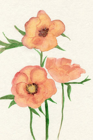 Petite Fleur IV Black Ornate Wood Framed Art Print with Double Matting by Ludwig, Alicia