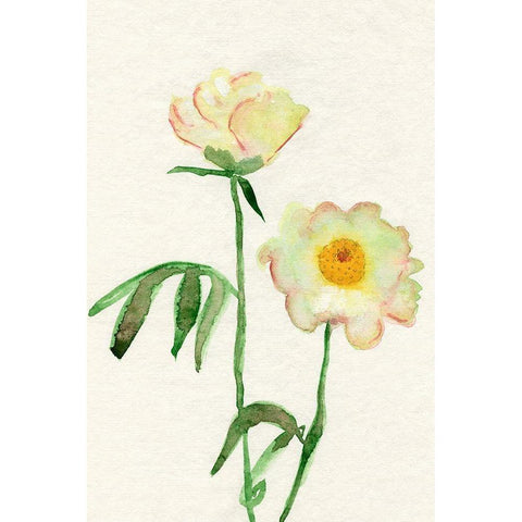 Petite Fleur V White Modern Wood Framed Art Print by Ludwig, Alicia