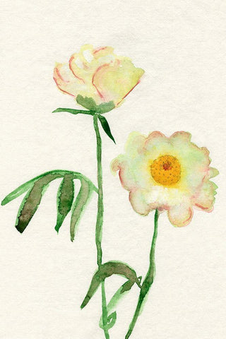 Petite Fleur V Black Ornate Wood Framed Art Print with Double Matting by Ludwig, Alicia