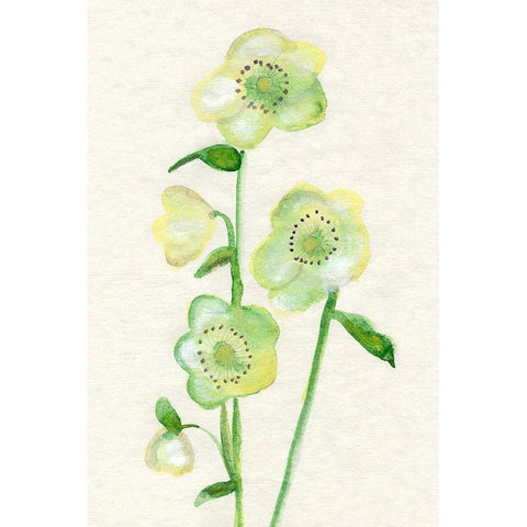 Petite Fleur VI Black Modern Wood Framed Art Print with Double Matting by Ludwig, Alicia