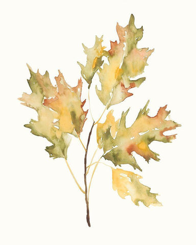 Fall Study II Black Ornate Wood Framed Art Print with Double Matting by Goldberger, Jennifer