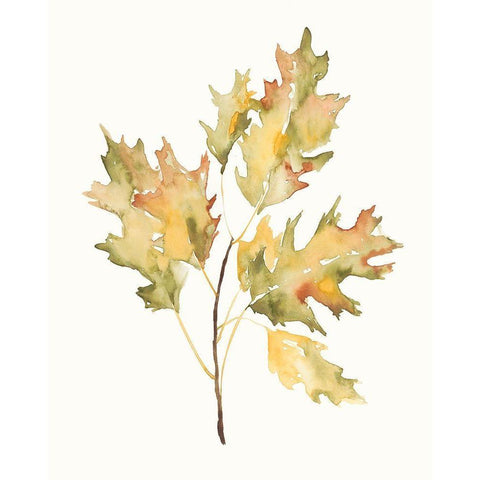 Fall Study II White Modern Wood Framed Art Print by Goldberger, Jennifer