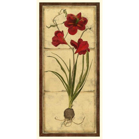 Amaryllis Panel I White Modern Wood Framed Art Print by Vision Studio