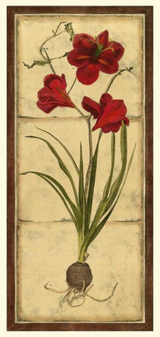 Amaryllis Panel I White Modern Wood Framed Art Print with Double Matting by Vision Studio