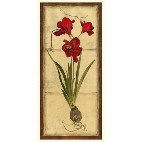 Amaryllis Panel II Black Modern Wood Framed Art Print with Double Matting by Vision Studio