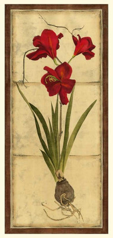 Amaryllis Panel II White Modern Wood Framed Art Print with Double Matting by Vision Studio