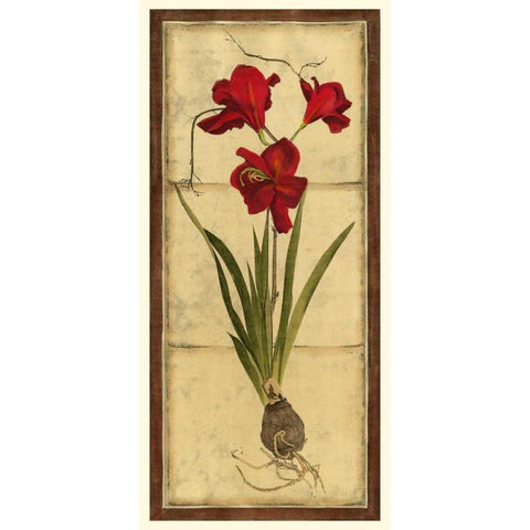Amaryllis Panel II Gold Ornate Wood Framed Art Print with Double Matting by Vision Studio