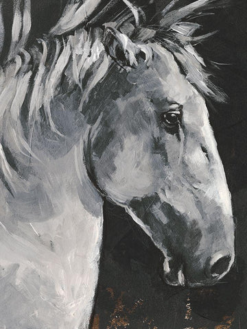 Tribeca Horse I White Modern Wood Framed Art Print with Double Matting by Parker, Jennifer Paxton