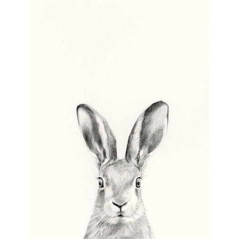 Animal Mug I Black Modern Wood Framed Art Print with Double Matting by Borges, Victoria