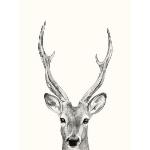 Animal Mug IV White Modern Wood Framed Art Print by Borges, Victoria