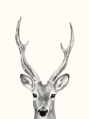 Animal Mug IV White Modern Wood Framed Art Print with Double Matting by Borges, Victoria