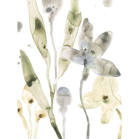 Stone Moss Stems I Gold Ornate Wood Framed Art Print with Double Matting by Vess, June Erica