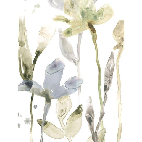 Stone Moss Stems II White Modern Wood Framed Art Print by Vess, June Erica