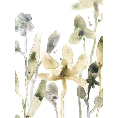 Stone Moss Stems V Black Modern Wood Framed Art Print with Double Matting by Vess, June Erica