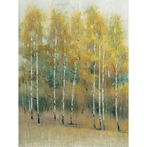 Woodland Edge III Black Modern Wood Framed Art Print with Double Matting by OToole, Tim