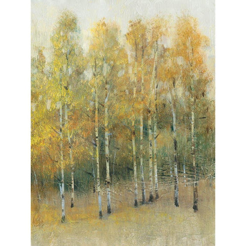 Woodland Edge IV White Modern Wood Framed Art Print by OToole, Tim