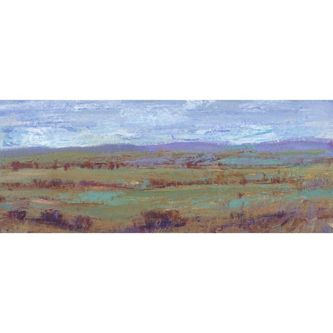 Open Land II Gold Ornate Wood Framed Art Print with Double Matting by OToole, Tim