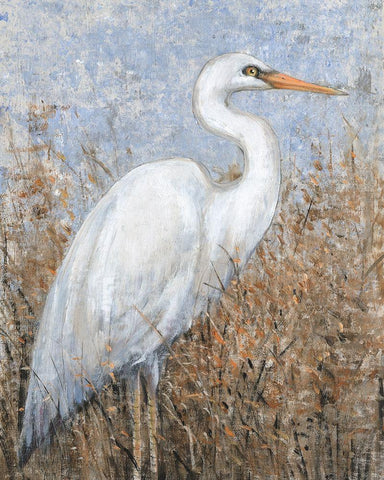 White Heron I White Modern Wood Framed Art Print with Double Matting by OToole, Tim