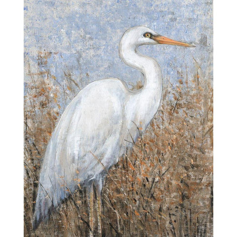 White Heron I Black Modern Wood Framed Art Print with Double Matting by OToole, Tim