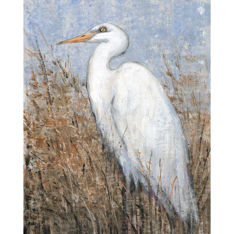 White Heron II Black Modern Wood Framed Art Print with Double Matting by OToole, Tim