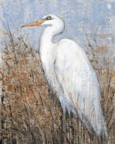 White Heron II White Modern Wood Framed Art Print with Double Matting by OToole, Tim