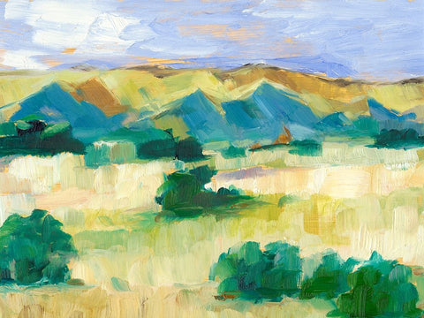 Western Valley II White Modern Wood Framed Art Print with Double Matting by Harper, Ethan