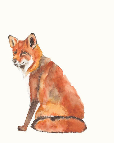 Sly Fox II White Modern Wood Framed Art Print with Double Matting by Goldberger, Jennifer