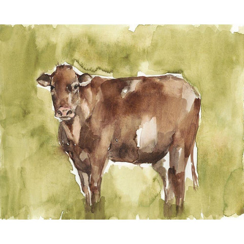Cow in the Field II Black Modern Wood Framed Art Print with Double Matting by Goldberger, Jennifer