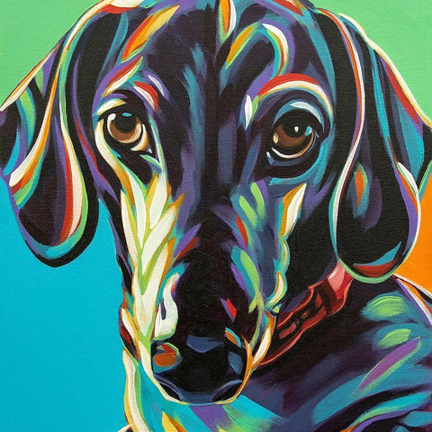 Painted Dachshund I White Modern Wood Framed Art Print by Vitaletti, Carolee