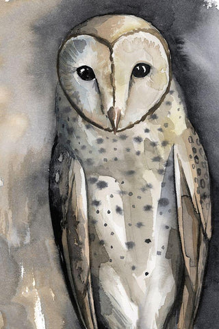 Moon Glider I Black Ornate Wood Framed Art Print with Double Matting by Popp, Grace