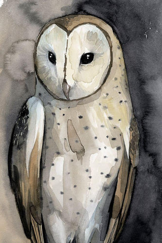 Moon Glider II Black Ornate Wood Framed Art Print with Double Matting by Popp, Grace