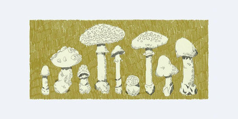 Forest Fungi I Black Ornate Wood Framed Art Print with Double Matting by Green, Jacob