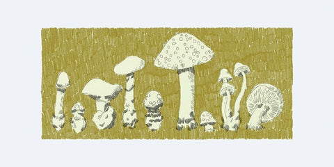 Forest Fungi II Black Ornate Wood Framed Art Print with Double Matting by Green, Jacob