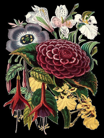 Garden Gathering II White Modern Wood Framed Art Print with Double Matting by Unknown