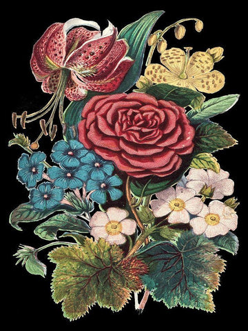 Garden Gathering III Black Ornate Wood Framed Art Print with Double Matting by Unknown