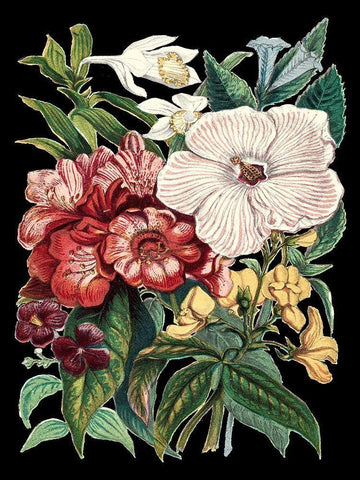 Garden Gathering IV Black Ornate Wood Framed Art Print with Double Matting by Unknown