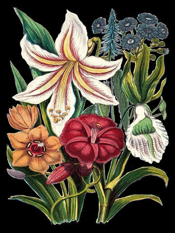 Garden Gathering V Black Ornate Wood Framed Art Print with Double Matting by Unknown