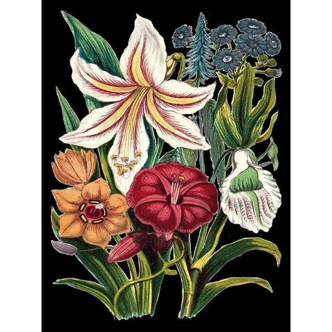 Garden Gathering V Black Modern Wood Framed Art Print with Double Matting by Unknown